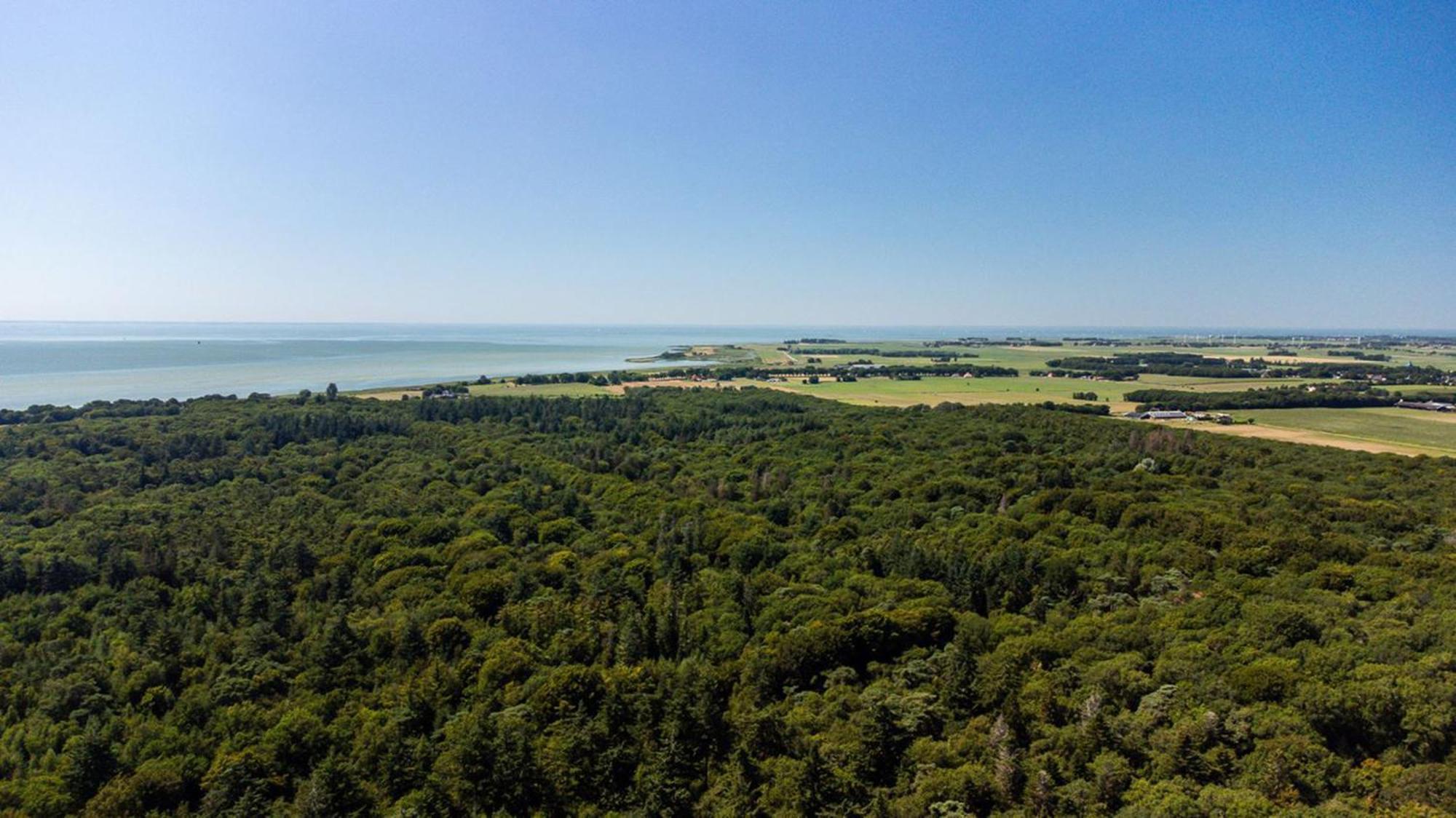 Luxe Bosvilla De Paradijsvogel Rijs Εξωτερικό φωτογραφία